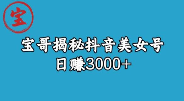 宝哥揭秘抖音美女号玩法，日赚3000+【揭秘】-51资源库