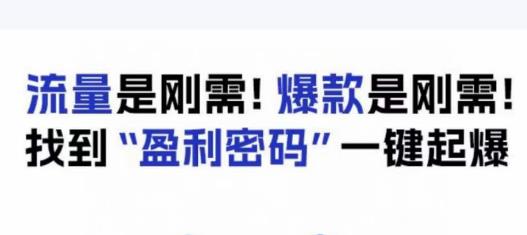 电商盈利精品课：6大盈利密码让产品更好卖，流量是刚需！爆款是刚需！找到”盈利密码”一键起爆-51资源库