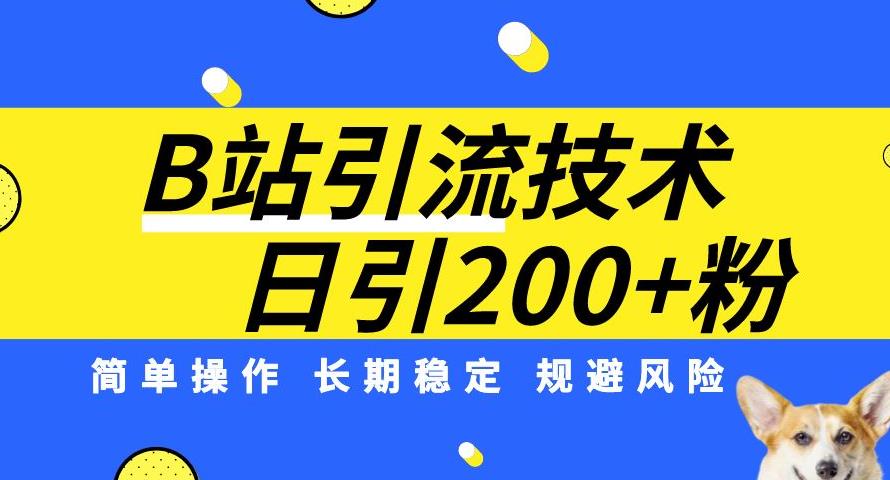 B站引流技术：每天引流200精准粉，简单操作，长期稳定，规避风险-51资源库