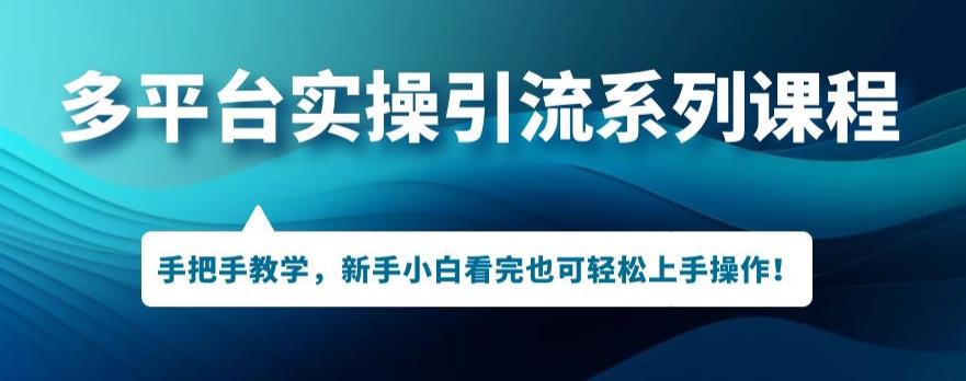 多平台引流实操系列课程，新手小白看完也可轻松上手进行引流操作-51资源库