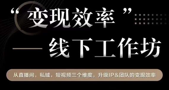 变现效率线下工作坊，从‮播直‬间、私域、‮视短‬频‮个三‬维度，升级IP和团队变现效率-51资源库