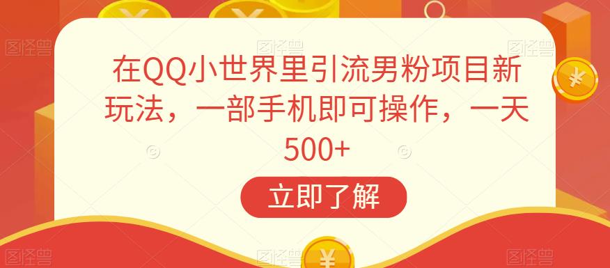 在QQ小世界里引流男粉项目新玩法，一部手机即可操作，一天500+【揭秘】-51资源库