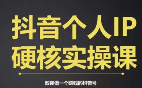 个人IP创富系统实战课，商业定位，流量打造，短视频变现，教你做个赚钱的抖音号-51资源库