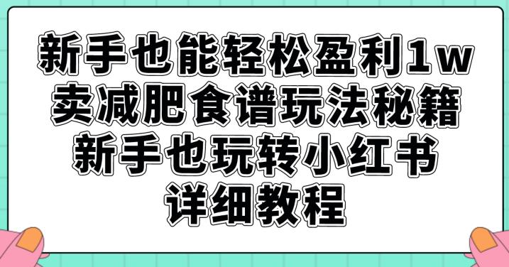 新手也能轻松盈利1w，卖减肥食谱玩法秘籍，新手也玩转小红书详细教程【揭秘】-51资源库