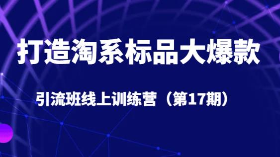打造淘系标品大爆款引流班线上训练营（第17期）5天直播授课-51资源库