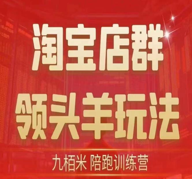 九栢米-淘宝店群领头羊玩法，教你整个淘宝店群领头羊玩法以及精细化/终极蓝海/尾销等内容-51资源库