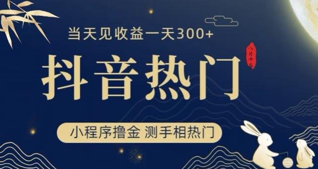 抖音最新小程序撸金，测手相上热门，当天见收益一小时变现300+【揭秘】-51资源库