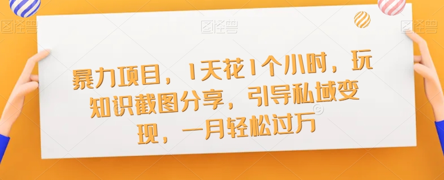 暴力项目，1天花1个小时，玩知识截图分享，引导私域变现，一月轻松过万【截图】-51资源库