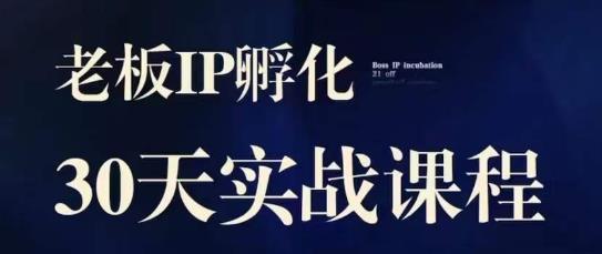诸葛·2023老板IP实战课，实体同城引流获客，IP孵化必听-51资源库
