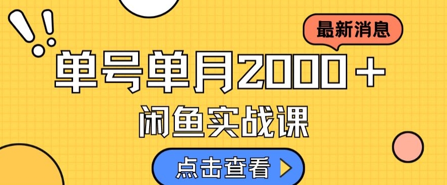 最新闲鱼日入500＋，虚拟资料变现喂饭级讲解-51资源库
