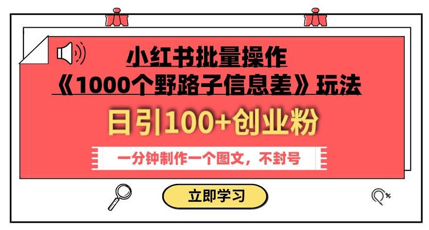 小红书批量操作《1000个野路子信息差》玩法，一分钟制作一个图文，不封号，日引100+创业粉-51资源库