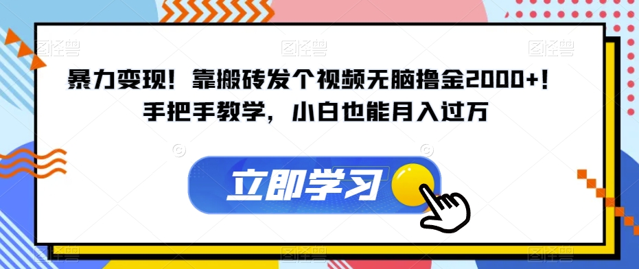 暴力变现！靠搬砖发个视频无脑撸金2000+！手把手教学，小白也能月入过万【揭秘】-51资源库