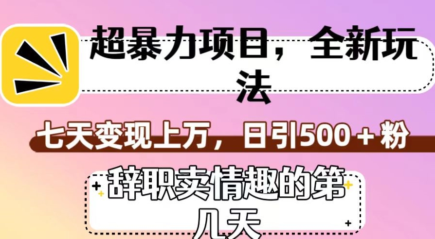 超暴利项目，全新玩法（辞职卖情趣的第几天），七天变现上万，日引500+粉【揭秘】-51资源库
