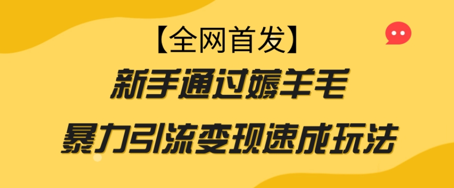 【全网首发】新手通过薅羊毛暴力引流变现速成玩法-51资源库