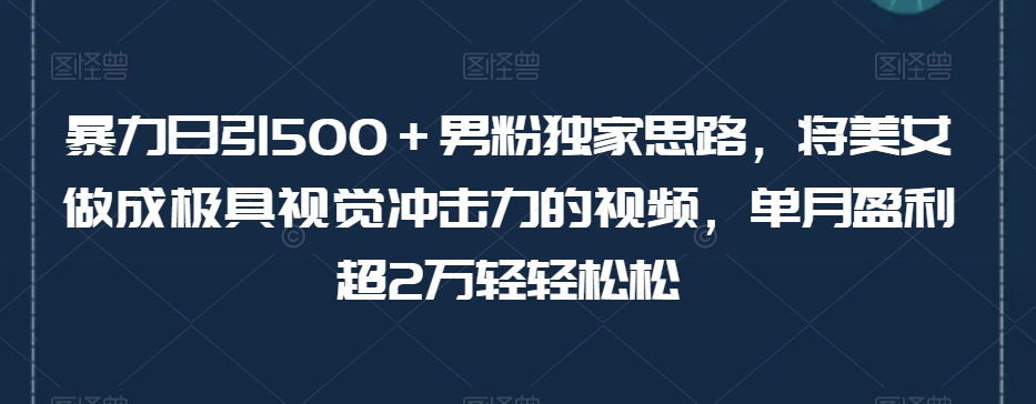 暴力日引500＋男粉独家思路，将美女做成极具视觉冲击力的视频，单月盈利超2万轻轻松松-51资源库