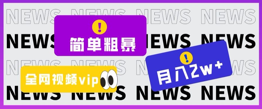 简单粗暴零成本，高回报，全网视频VIP掘金项目，月入2万＋【揭秘】-51资源库