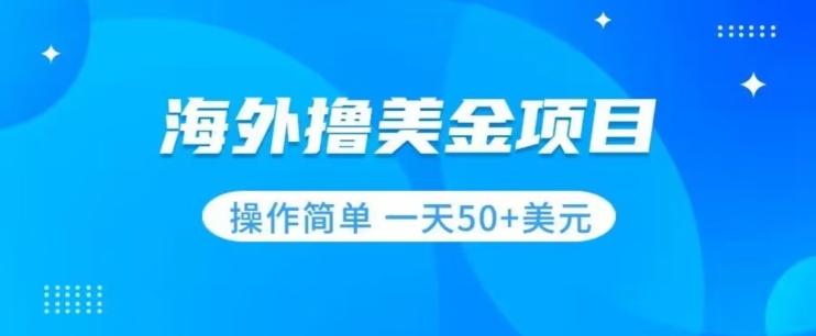 撸美金项目无门槛操作简单小白一天50+美刀-51资源库