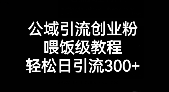 公域引流创业粉，喂饭级教程，轻松日引流300+【揭秘】-51资源库