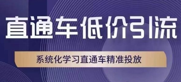 直通车低价引流课，系统化学习直通车精准投放-51资源库