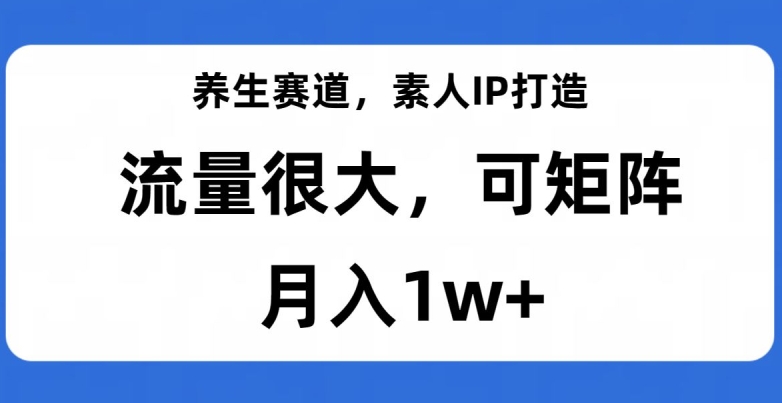 养生赛道，素人IP打造，流量很大，可矩阵，月入1w+【揭秘】-51资源库