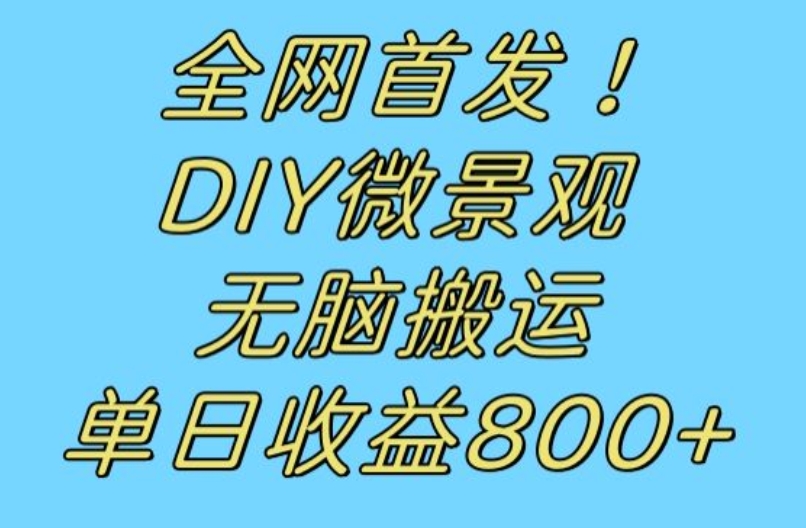 全网首发冷门赛道！DIY微景观，无脑搬运视频，日收益800+【揭秘】-51资源库