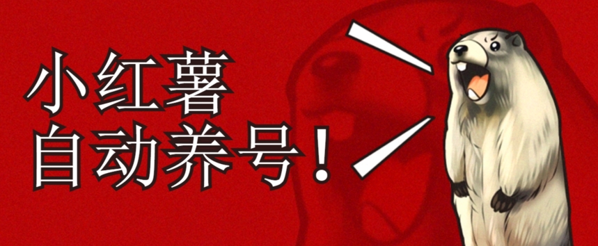 小红书养号秘籍，如何自动涨粉清晰系统标签打造高权重账号【揭秘】-51资源库
