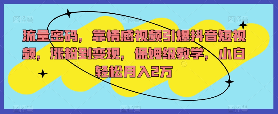 流量密码，靠情感视频引爆抖音短视频，涨粉到变现，保姆级教学，小白轻松月入2万【揭秘】-51资源库