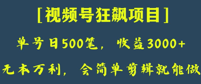 日收款500笔，纯利润3000+，视频号狂飙项目，会简单剪辑就能做【揭秘】-51资源库