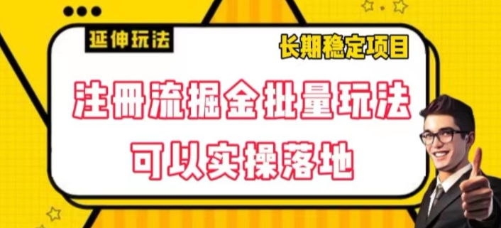 注册流掘金批量玩法，可以实操落地【揭秘】-51资源库