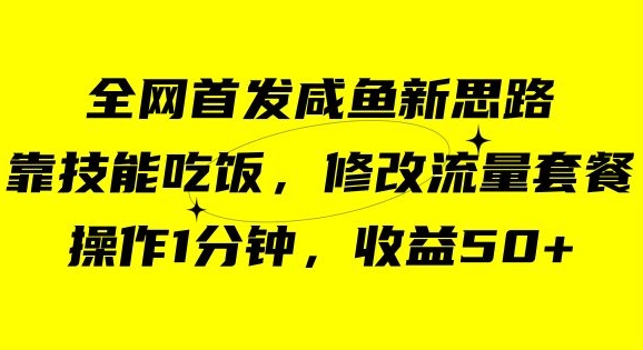 咸鱼冷门新玩法，靠“技能吃饭”，修改流量套餐，操作1分钟，收益50【揭秘】-51资源库