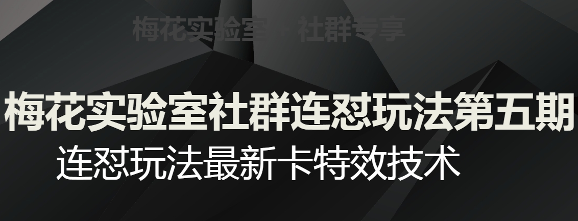 梅花实验室社群连怼玩法第五期，视频号连怼玩法最新卡特效技术-51资源库