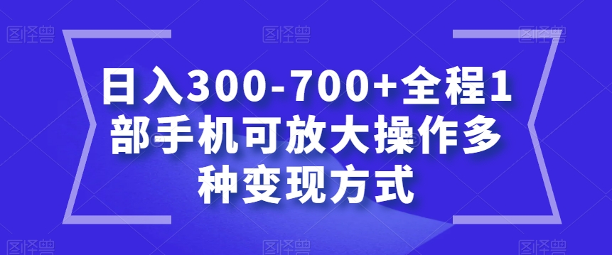 日入300-700+全程1部手机可放大操作多种变现方式【揭秘】-51资源库