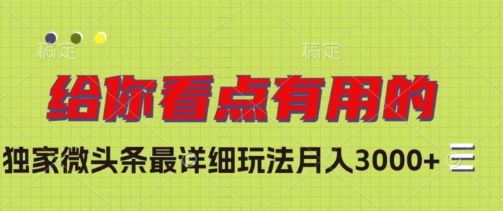 独家微头条最详细玩法，月入3000+【揭秘】-51资源库