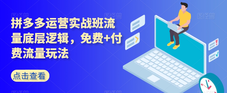 拼多多运营实战班流量底层逻辑，免费+付费流量玩法-51资源库