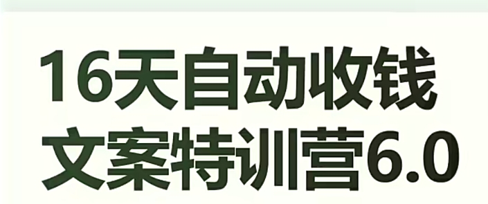 16天自动收钱文案特训营6.0，学会儿每天自动咔咔收钱-51资源库