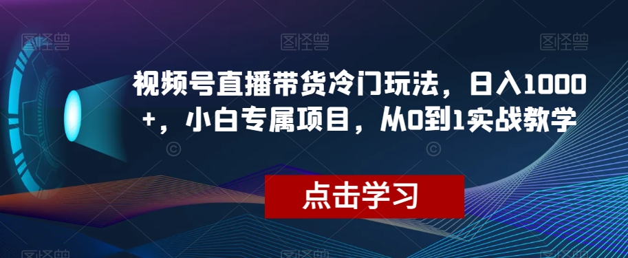 视频号直播带货冷门玩法，日入1000+，小白专属项目，从0到1实战教学【揭秘】-51资源库