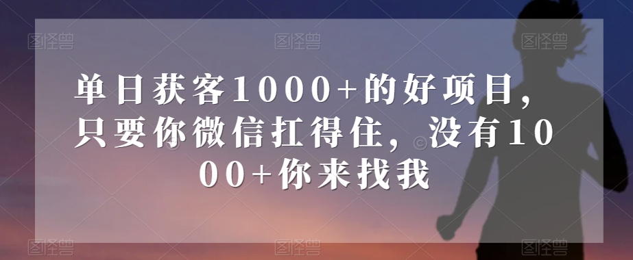 单日获客1000+的好项目，只要你微信扛得住，没有1000+你来找我【揭秘】-51资源库