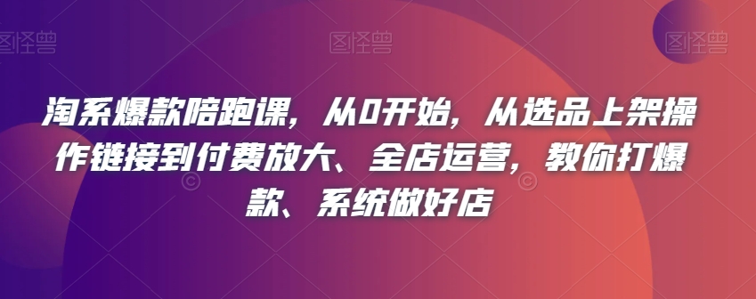 淘系爆款陪跑课，从0开始，从选品上架操作链接到付费放大、全店运营，教你打爆款、系统做好店-51资源库