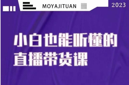 大威本威·能听懂的直播带货课，小白也能听懂，20节完整-51资源库