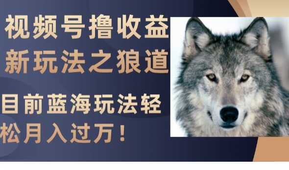 视频号撸收益新玩法之狼道，目前蓝海玩法，轻松月入过万【揭秘】-51资源库