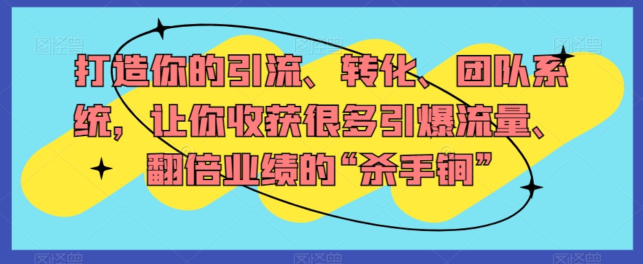 打造你的引流、转化、团队系统，让你收获很多引爆流量、翻倍业绩的“杀手锏”-51资源库