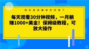 每天观看30分钟视频，一月躺赚1000+美金！保姆级教程，可放大操作【揭秘】-51资源库
