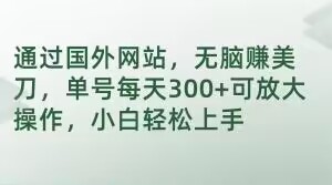 通过国外网站，无脑赚美刀，单号每天300+可放大操作，小白轻松上手【揭秘】-51资源库