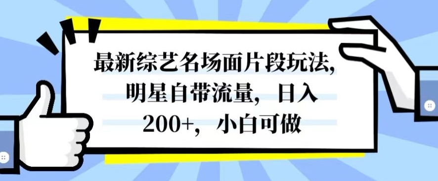 最新综艺名场面片段玩法，明星自带流量，日入200+，小白可做【揭秘】-51资源库