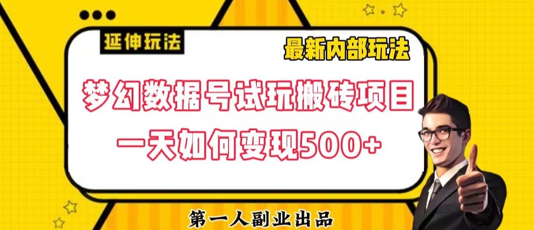 数据号回归玩法游戏试玩搬砖项目再创日入500+【揭秘】-51资源库