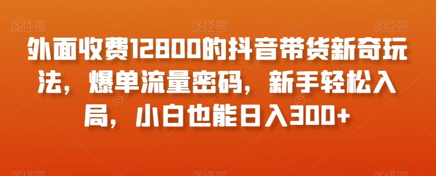 外面收费12800的抖音带货新奇玩法，爆单流量密码，新手轻松入局，小白也能日入300+【揭秘】-51资源库