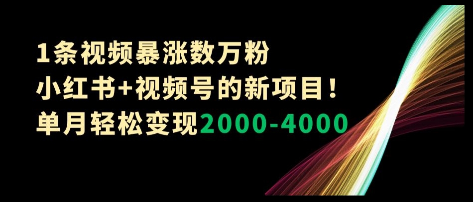 1条视频暴涨数万粉–小红书+视频号的新项目！单月轻松变现2000-4000【揭秘】-51资源库