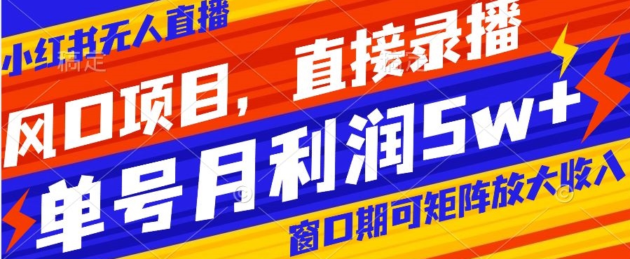 风口项目，小红书无人直播带货，直接录播，可矩阵，月入5w+【揭秘】-51资源库