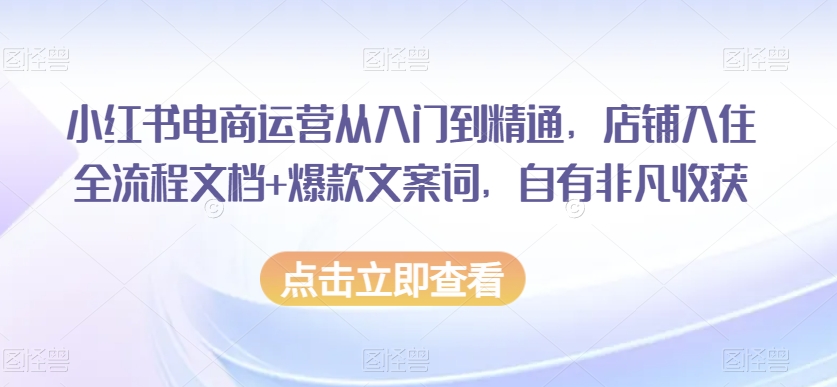 小红书电商运营从入门到精通，店铺入住全流程文档+爆款文案词，自有非凡收获-51资源库