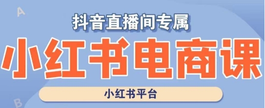 小红书电商高级运营课程，实操教学+案例分析-51资源库